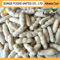 Export China Songs Foods Peanut Inshell